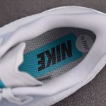 Nike ZoomX Pegasus Plus 'Dusty Cactus'