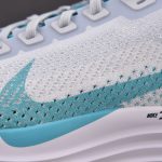 Nike ZoomX Pegasus Plus 'Dusty Cactus'