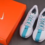 Nike ZoomX Pegasus Plus 'Dusty Cactus'