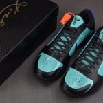 Nike Zooom Kobe 5 Protro EYBL Academy (PE)